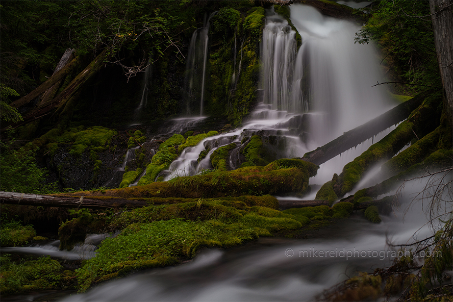 Lush Moss Water Falls Wide